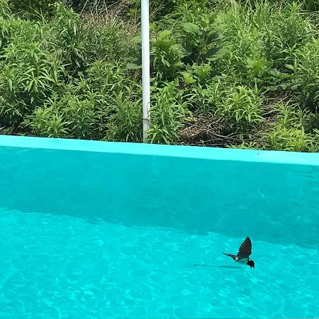 Jeju 2Jj Hotel Seogwipo Eksteriør billede