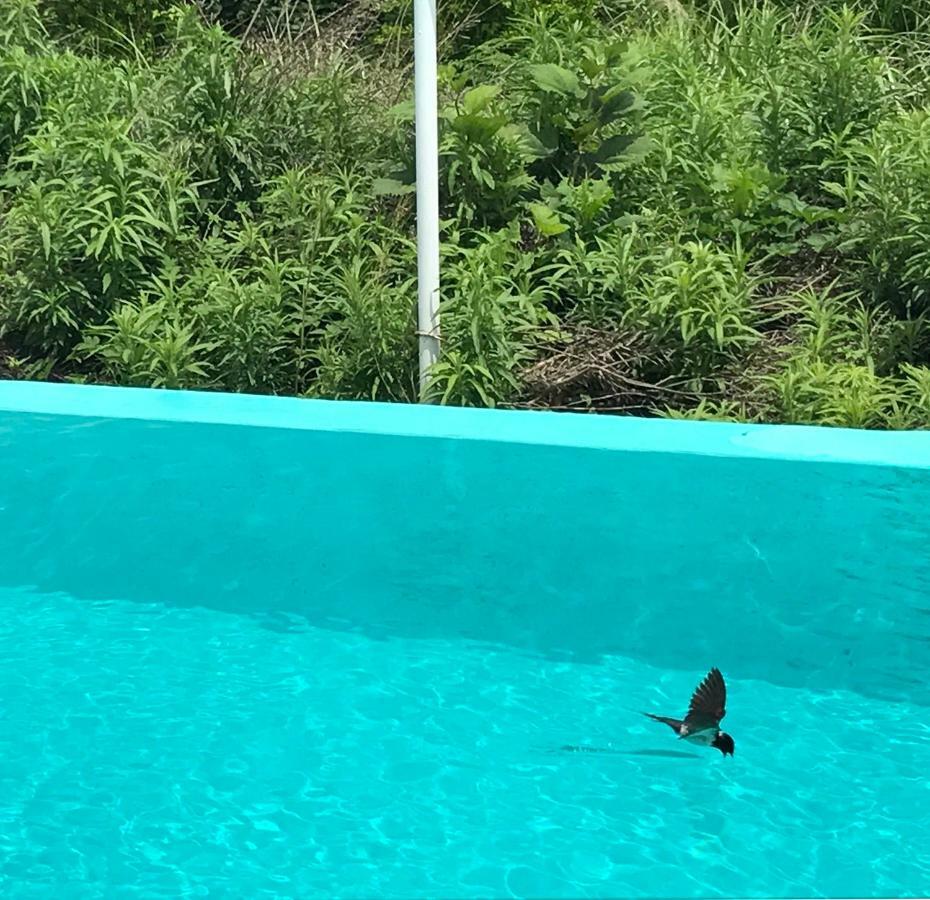 Jeju 2Jj Hotel Seogwipo Eksteriør billede